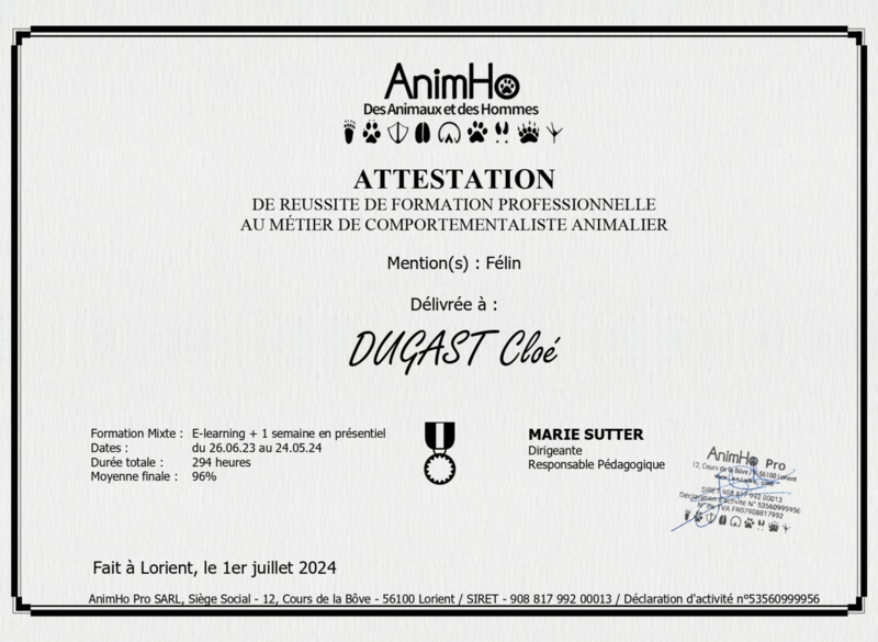 attestation__1_-pdf20250429-496625-gi38sx