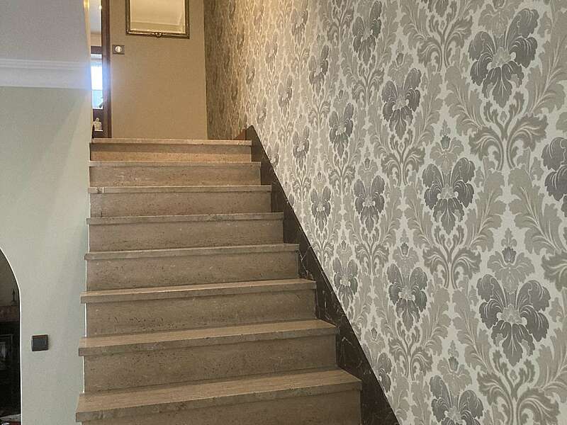 img_336420241031-198237-5bjkpp