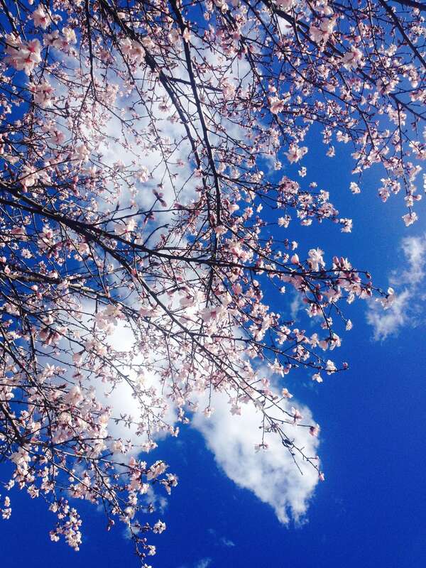 Objectif JOIE ! URGENT :)