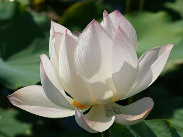 Tout lâcher, pour tout recevoir