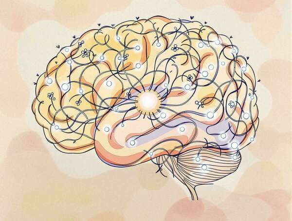 Comment le cerveau stocke et récupère les souvenirs ?