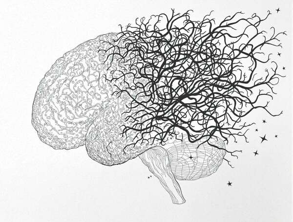 Quels sont les différents types de maladies neuro-dégénératives ?