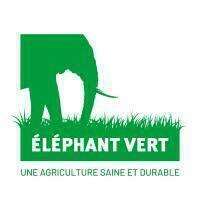 GROUPE ELEPHANT VERT