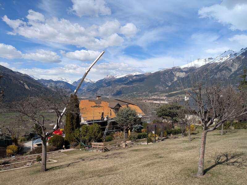 pxl_20250327_131636484