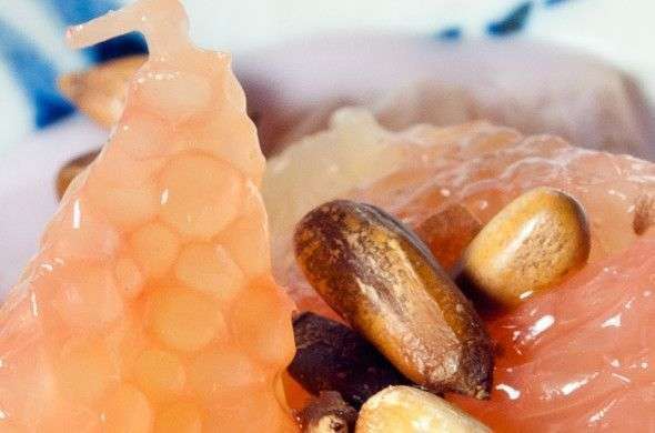 Le pépin de pamplemousse