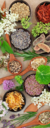 Tarifs de naturopathie