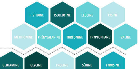 Hypothyroïdie : Quand tout semble « normal », mais rien ne va
