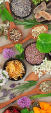 Tarifs de naturopathie
