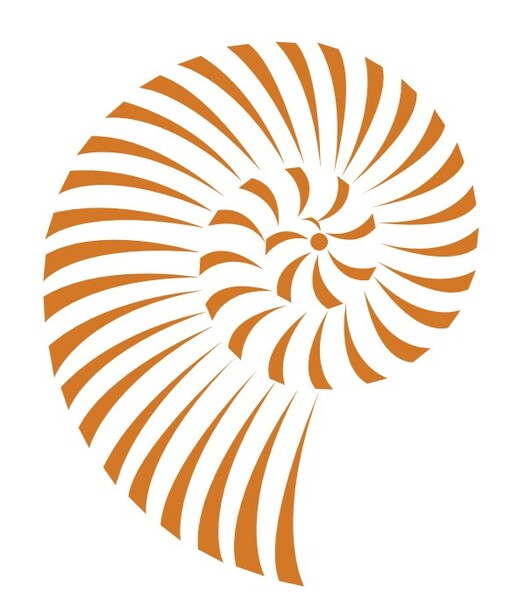 Logo CABINET DENTAIRE JULES VERNE