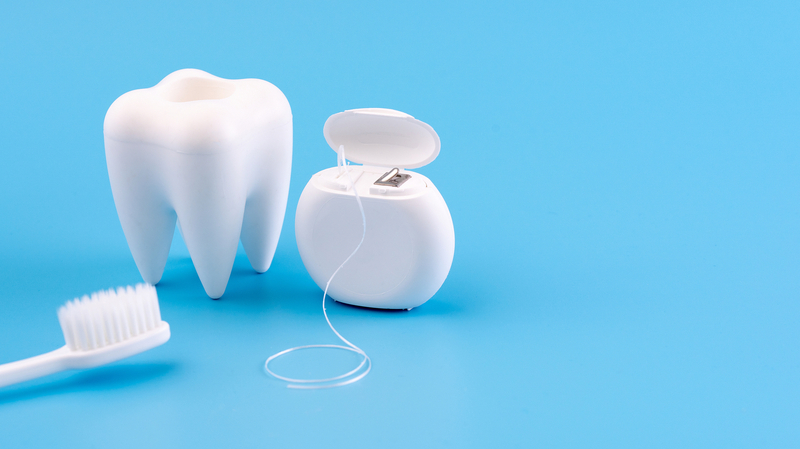 Modèle de dent, brosse à dents et fil dentaire