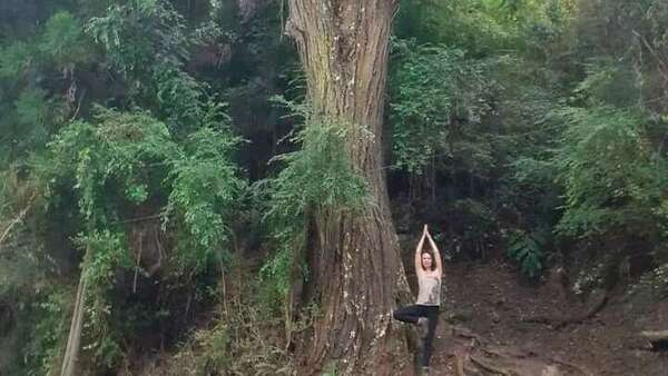 Comment créer sa réalité ?