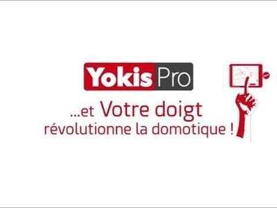Yokis pro