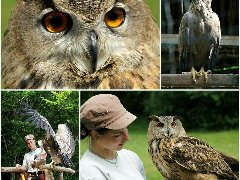 29597572_10160372350890089_7899454180911410475_n