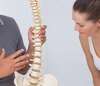 chiropraxie colonne vertébrale système nerveux