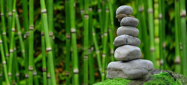 Ce que 43 millions de consultations chiropratiques nous apprennent sur la sécurité