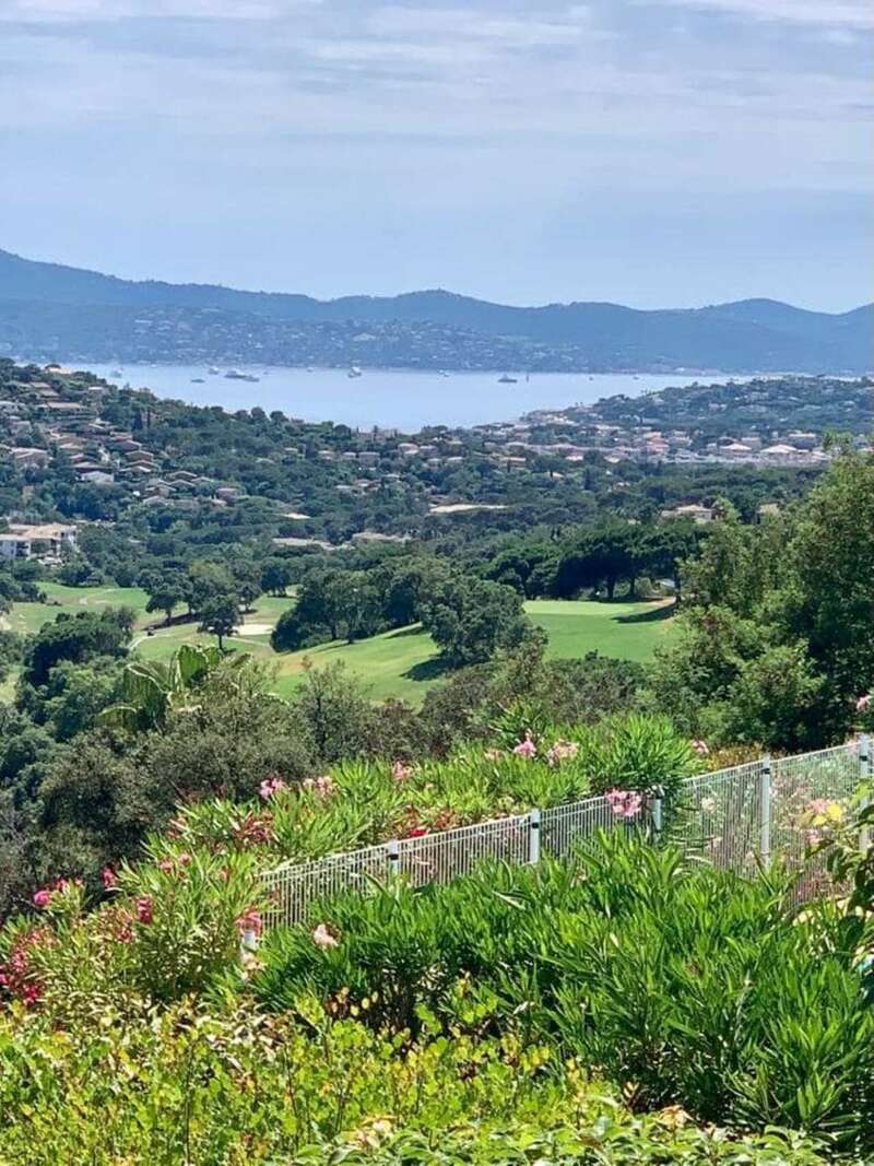 green_420230530-1616873-1xed248