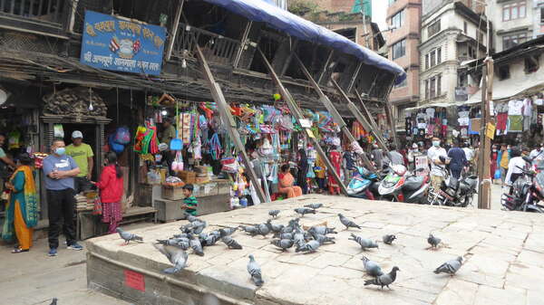 Immersion en terre inconnue