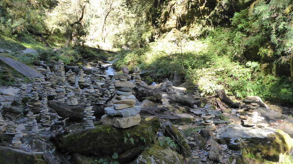 L'harmonie partagée