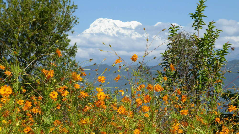 Les "beautés" de Pokhara