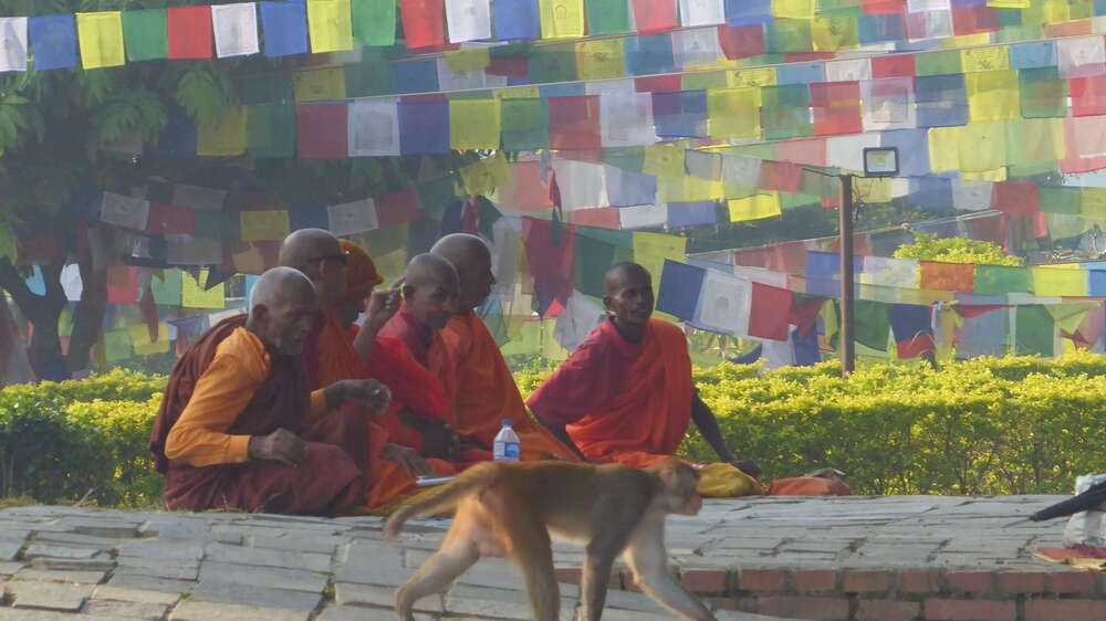 Lumbini...naissance de Bouddha