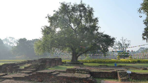 La nature s'Illumine...Le Sacré apparaît