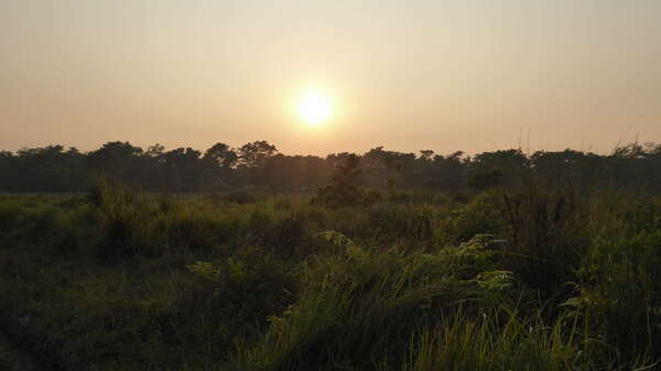 En route vers la jungle!