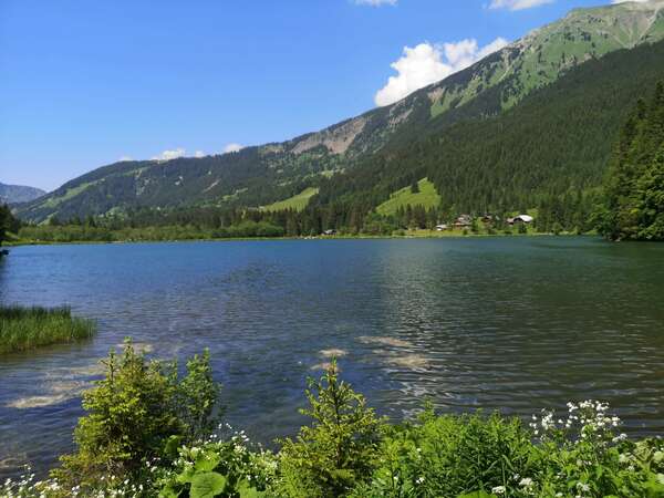 "Méditation : Récit de Voyages"