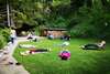 Atelier Méditation en Pleine Nature