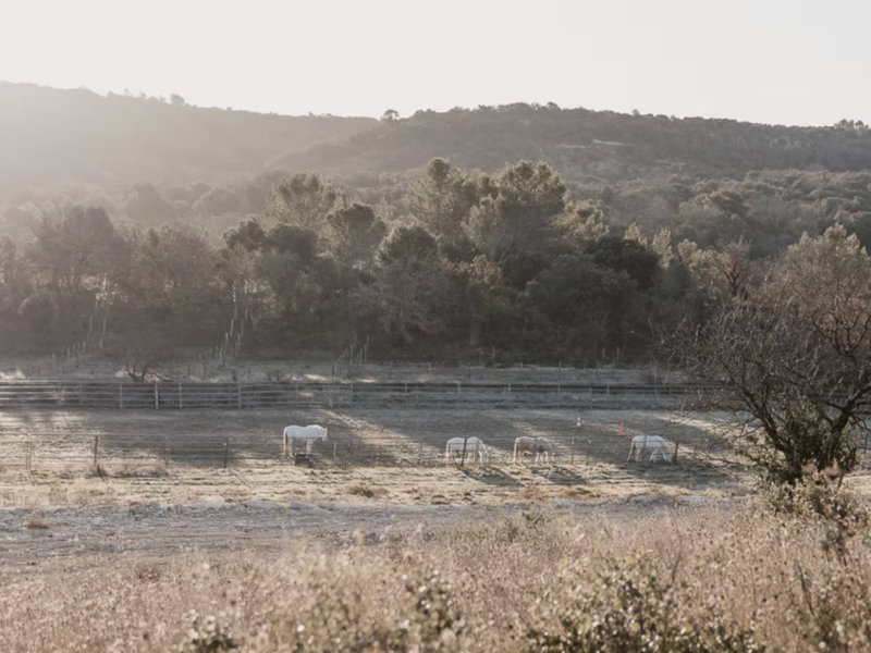 capture_d_ecran_2026-02-13_a_15-06-53