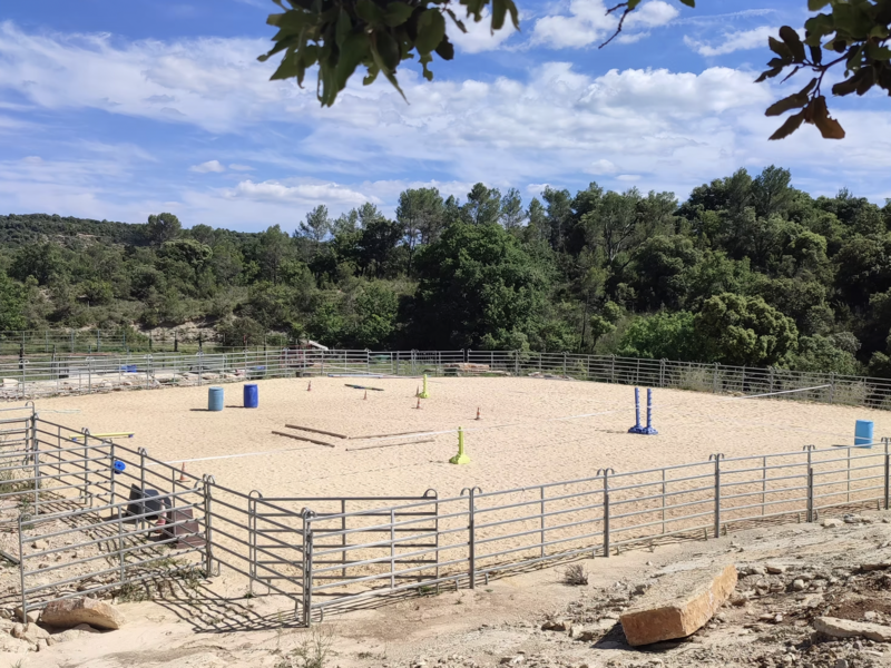 capture_d_ecran_2026-02-13_a_15-07-07