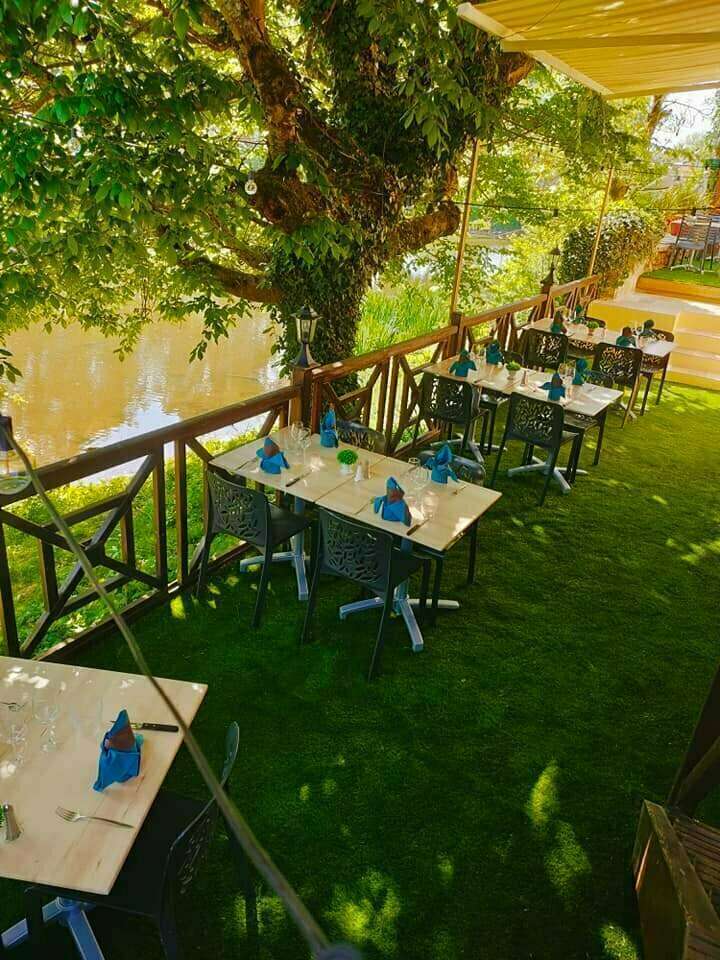 279151801_427267592736880_943787953967277213_n