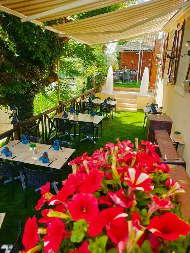 280613655_431146012349038_1846787084742160783_n