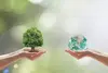 Mains tenant arbre miniature et globe verre symbolisant environnement