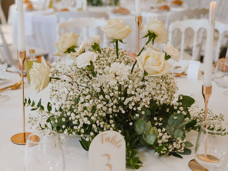 apercu-marionjordan-241