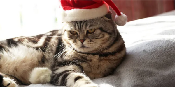 Je n'aime pas Noël