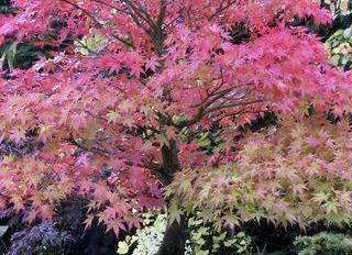 Les complices du quotidien