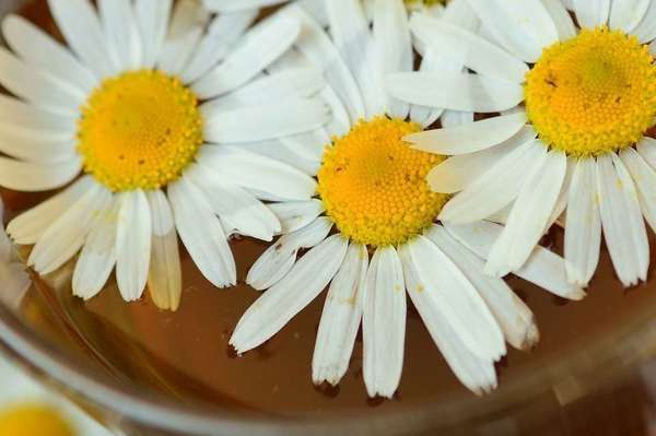 OPERATION 100% PUR JUS