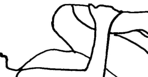 DETOX et DRAINAGE......DE PRINTEMPS PAR LA SOPHRO GYM