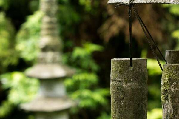 LA SOPHROLOGIE EXISTENTIELLE