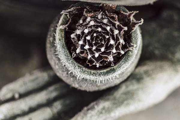 POURQUOI MEDITER, ET COMMENT ?