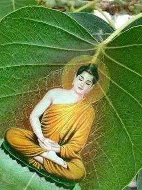 Perte de réconfort ? Peur d'un effondrement ? ET SI ON PARLAIT DE SOLASTALGIE ?