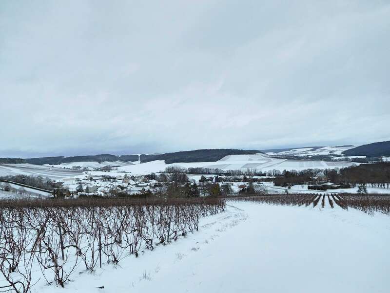 dscn0381_fotor-min20221102-1920514-1e43e5i