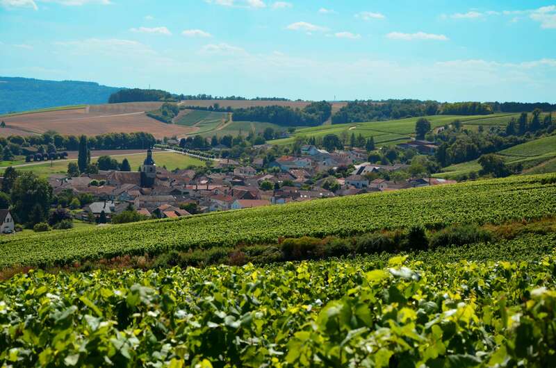 dangin0050-min__1_20221102-1920514-tfuk84