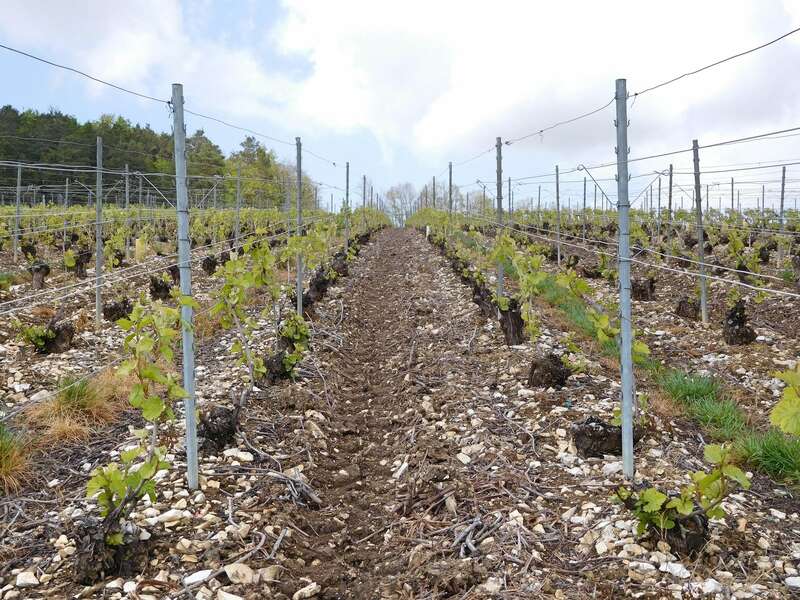 dscn0407_-min20221102-1920514-qdsui6