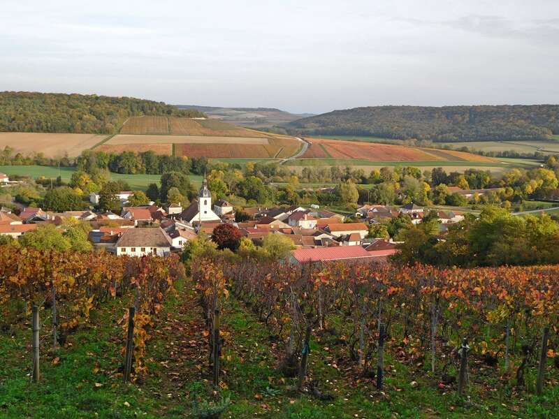 dscn0585-min20221102-1920514-m15xlk