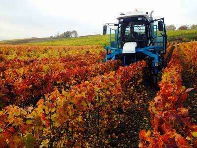 15697130-1221913874568046-2003613840-o20221102-1920514-iecj5t