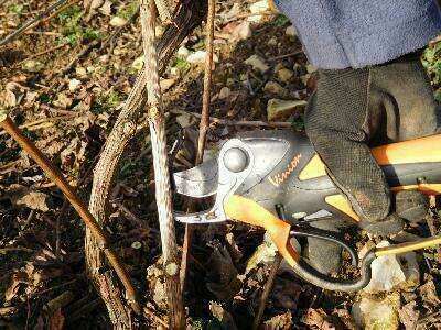 dscn006620221102-1920514-661mo7