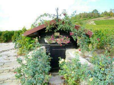 cabane20221102-1920514-llegq0