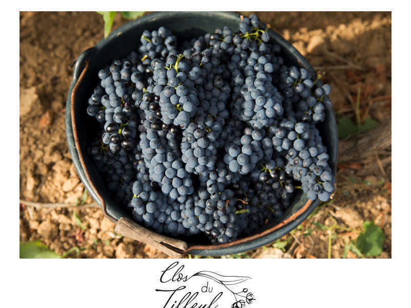 920220929-1442430-r043cs