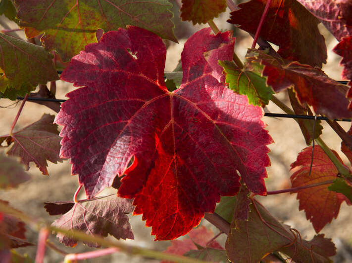 4020220929-1442430-j7ckxv